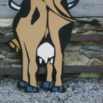 Wandern und Seifenkistenbauen